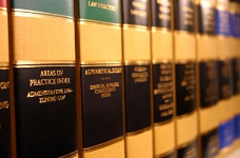 demoisey law books